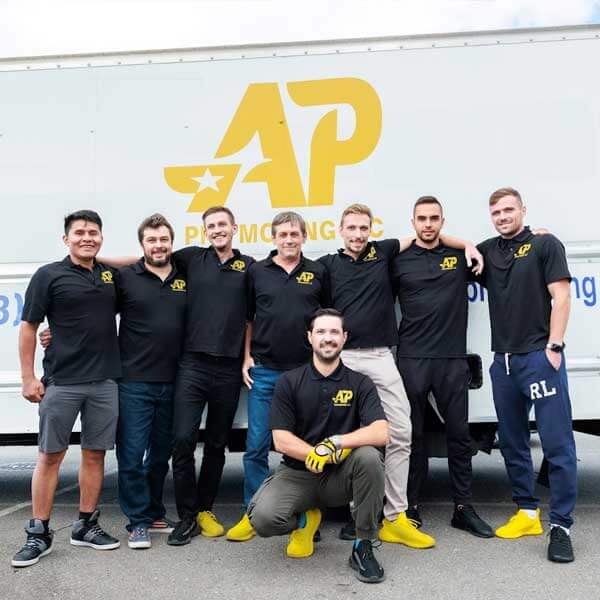AP Pro Moving LLC